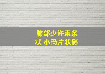 肺部少许索条状 小玛片状影